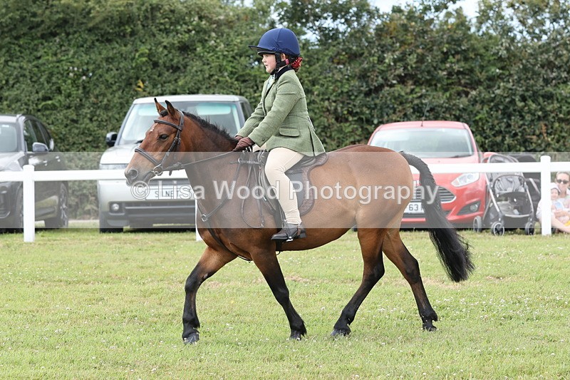 JPP_1942 - Class 18: Tiny Tots Working Hunter Pony