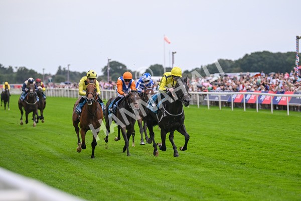 080925-Race 1-Proud Nation-7164 - Race 1 2.30pm Enter ITV7 For Free Confined EBF Maiden Stakes