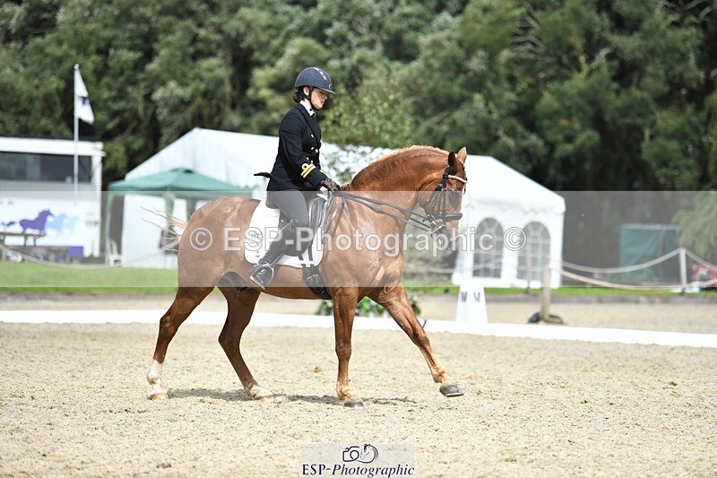 230812-141901-04659 - Cls 7 FEI PSG Bronze