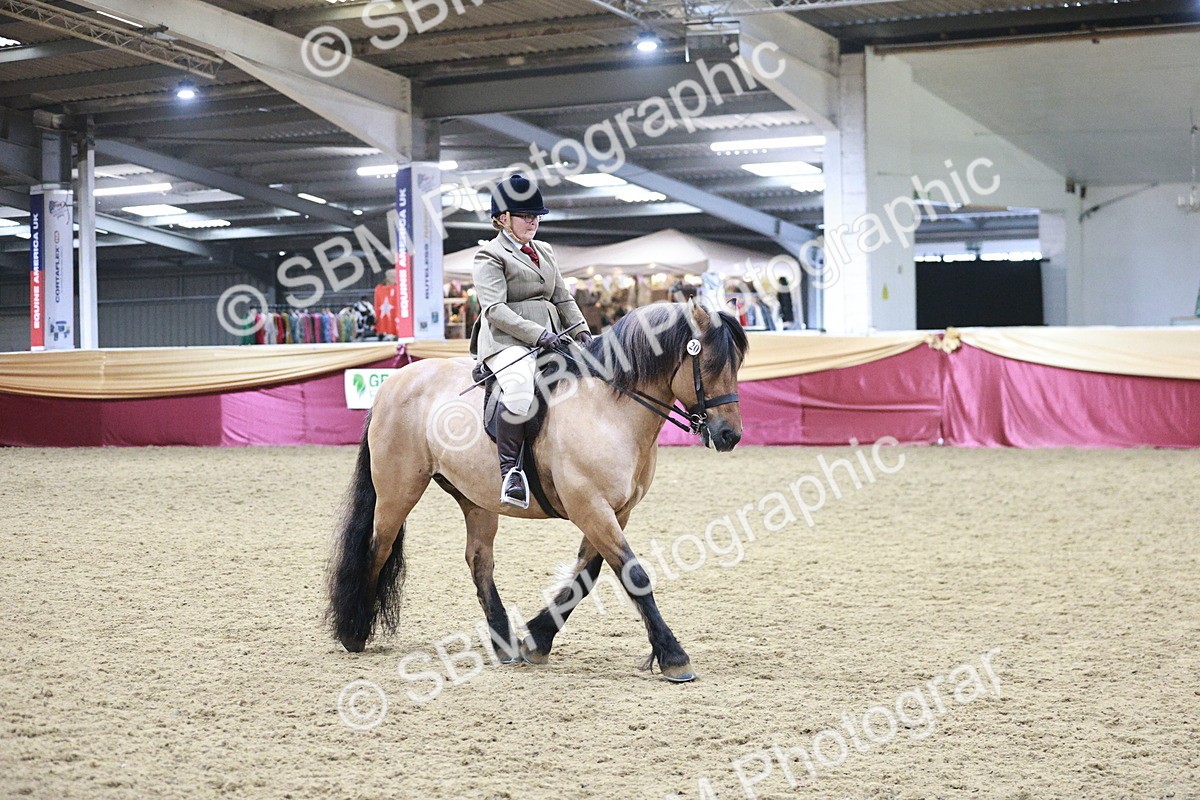 SBM_08106 - Class 11R - Regional Ridden Veteran