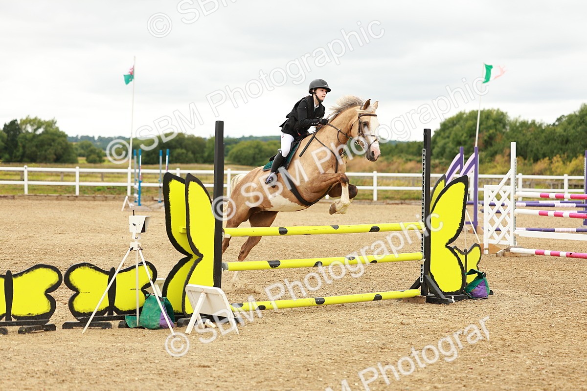 SBM_001603 - Class 9 - Senior British Novice - 90cm
