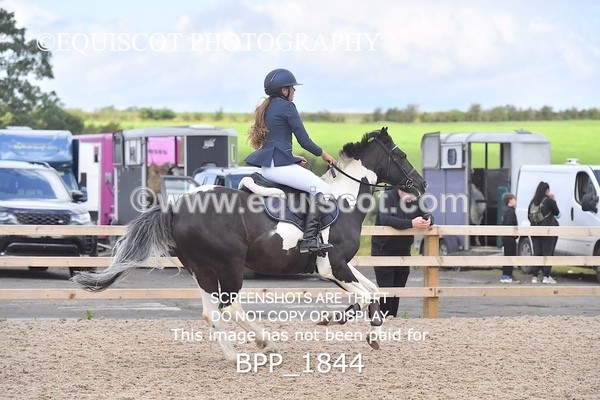 BPP_1844 - DERBY CLASS 5 - 60CM