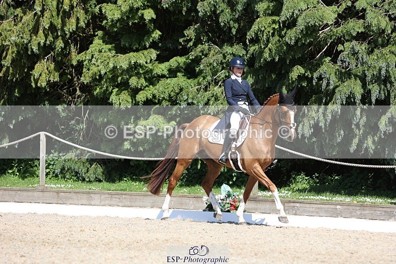 230526-150839-06637 - 378-CLASS_SPEC-Susie_Eddis-WEDTrotUp+DR