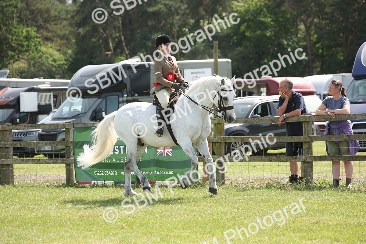 SBM_07646 - Class 26-30 - Mountain and Moorland Ridden