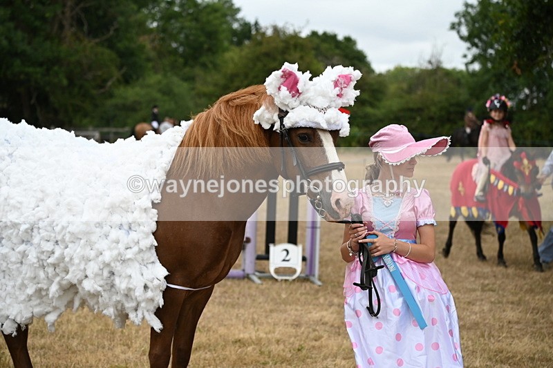 WJ6_8928 - Class 11 Fancy Dress