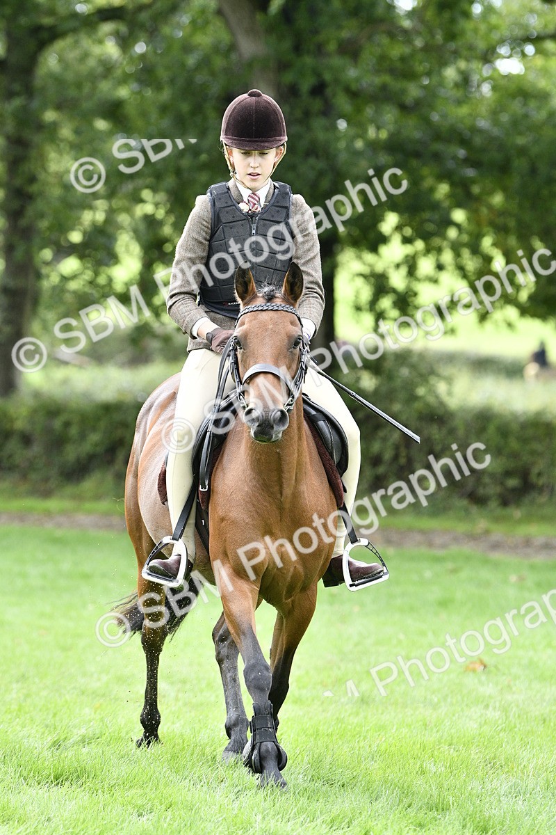 SBM_45604 - S33 - Working Hunter Pony