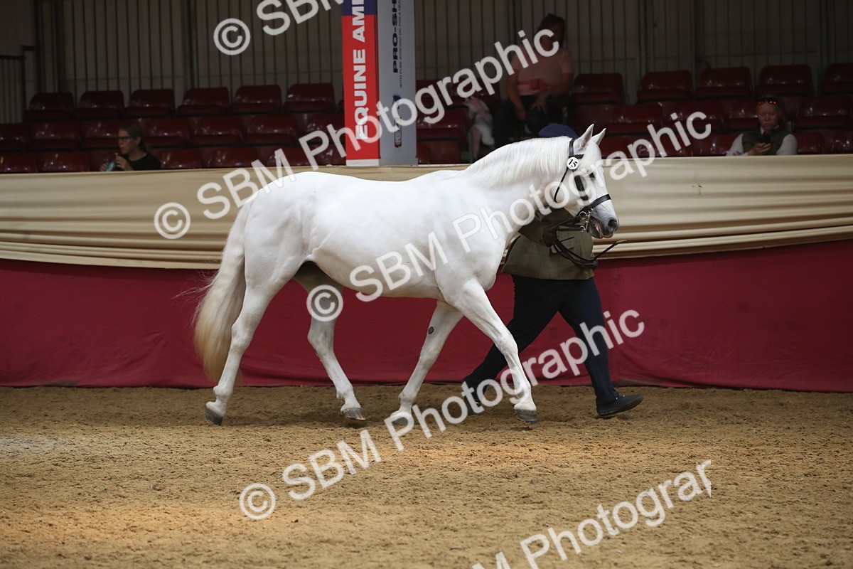 SBM_05583 - Class 9R - Regional IH Pre-Vet