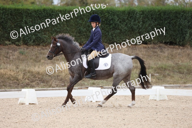 20250819-0894 - Class 2 - Prelim 1