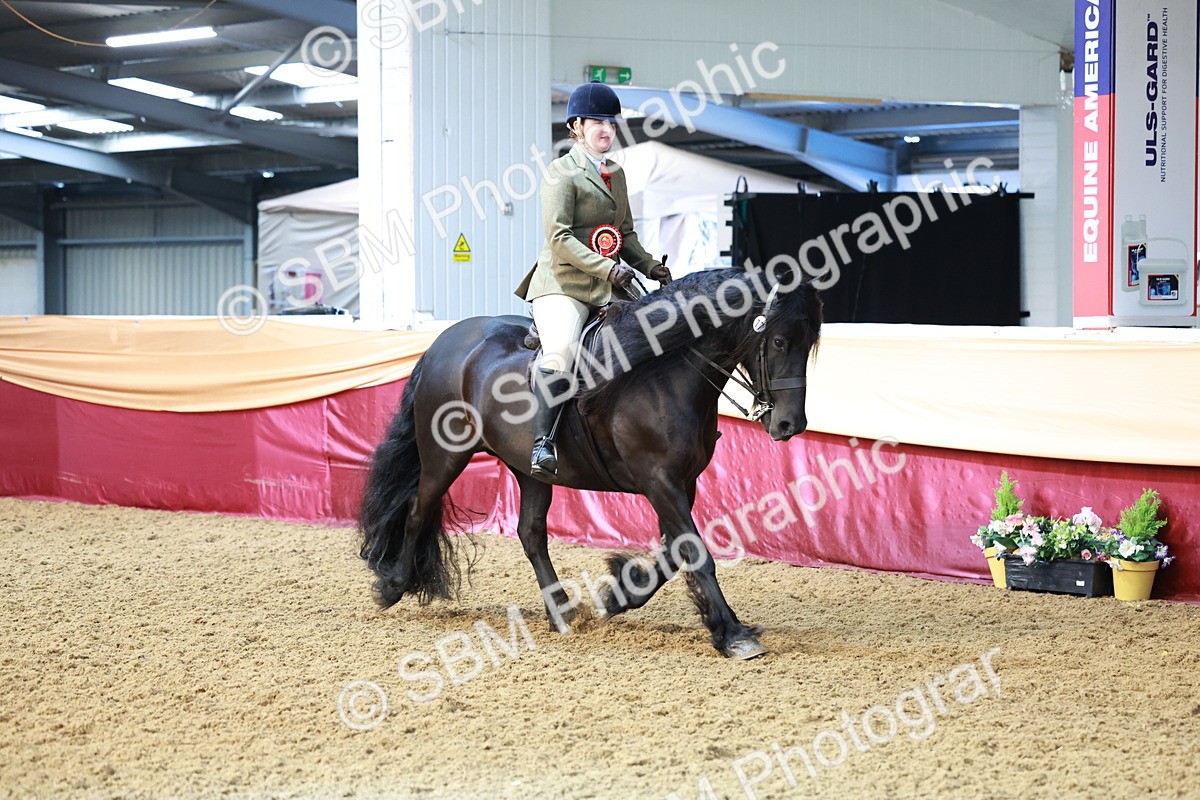 SBM_12007 - Class 102 - Equitation (Best Rider) Adult