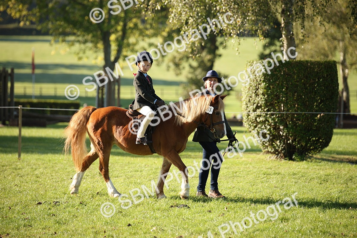 SBM_35640 - S9 - Lead Rein Equitation
