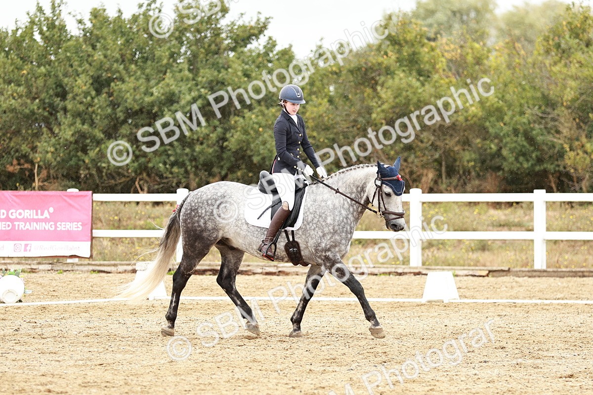 SBM_002982
