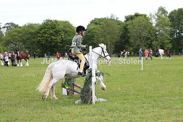 IMG_2548 - Working Hunter