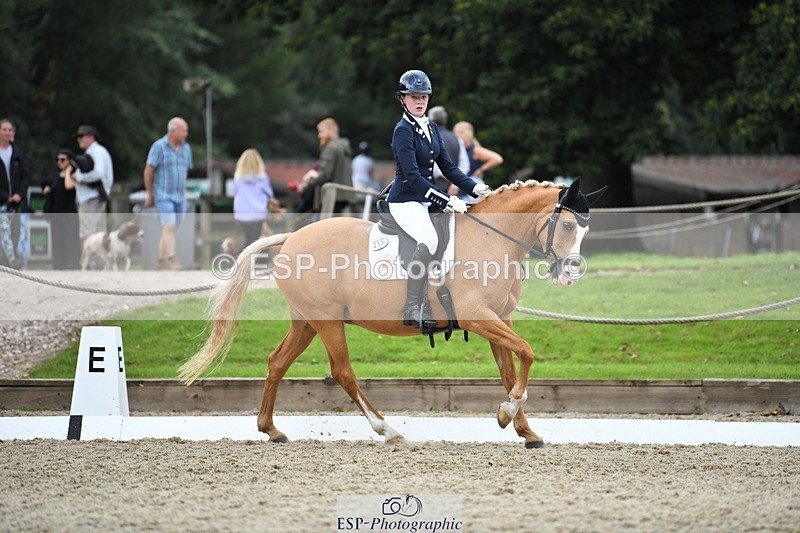 230812-124136-04191 - Cls 6 Novice Silver 12.10 to End