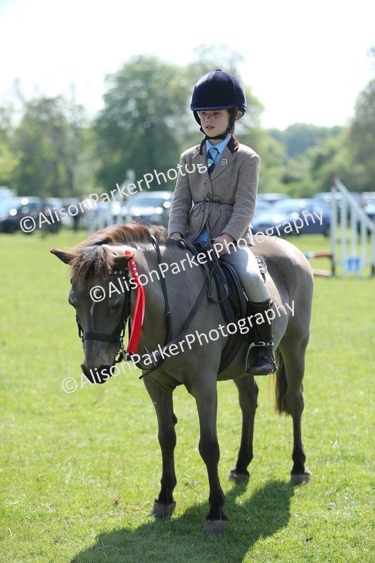 20250427-1828 - Class 2 - Mini Jumping 30cm