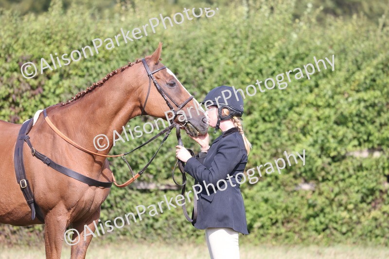 20260906-0687 - Class 22 - Ex Racehorse