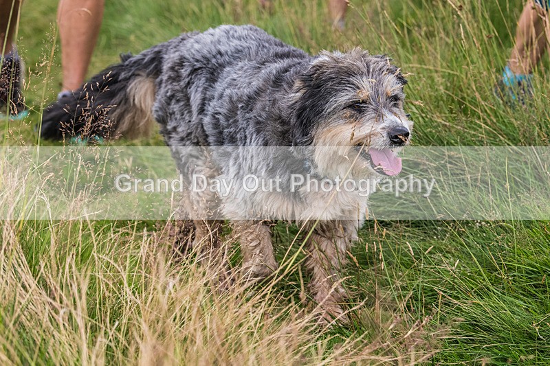 HWH-7 - High Wether Howe Fell Race Saturday 26th July 2025