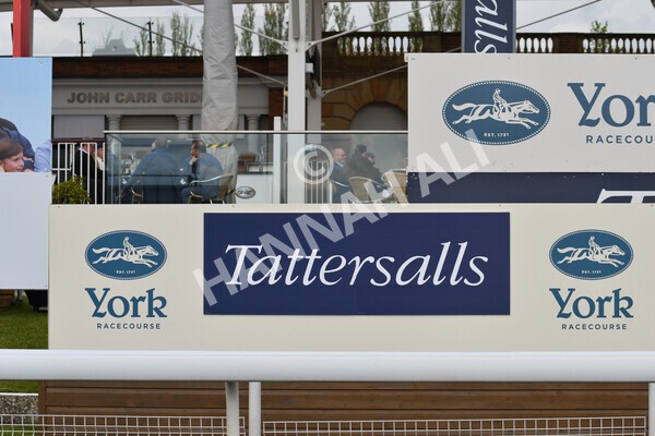 yr12052021r4-55 - Race 4 3.10pm Tattersalls Musidora Stakes