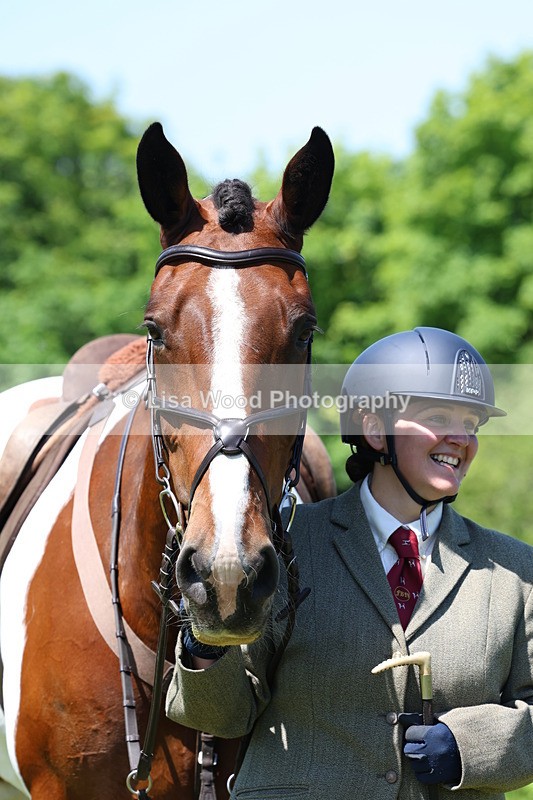 3E7A7363 - Class 30: Novice Working Hunter