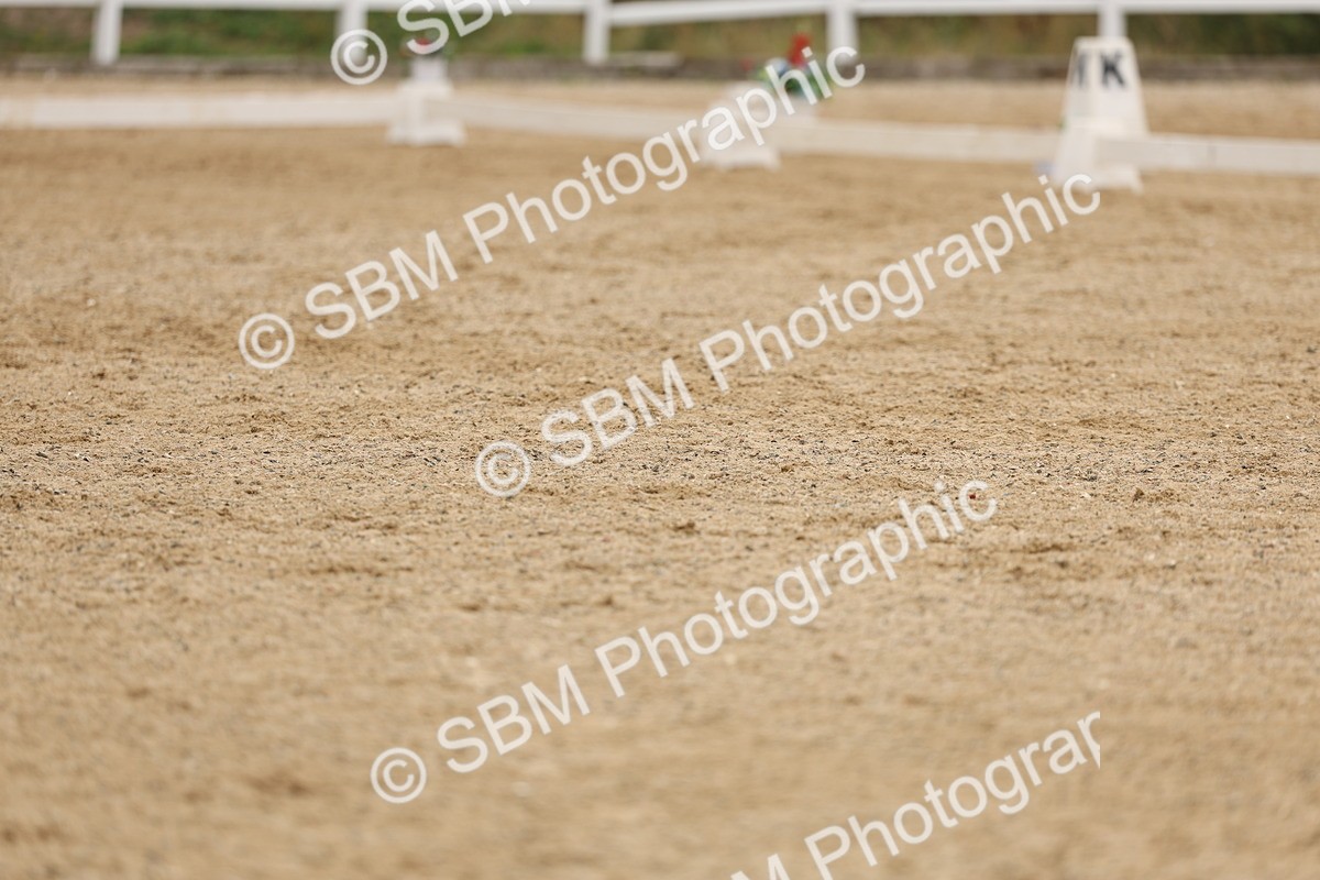 SBM_01602 - Class 9 - Novice 27 Champs