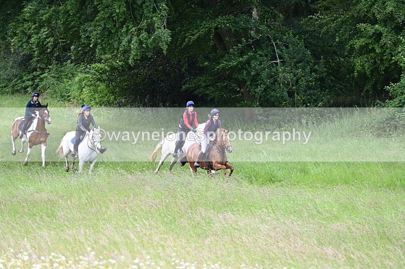 WJ7_8505 - Group 1 10am