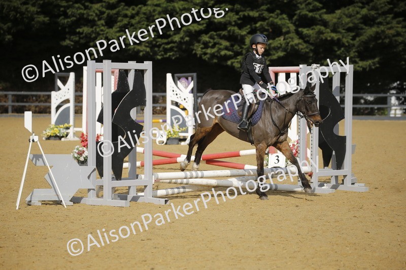 20250622-1390 - 40cm