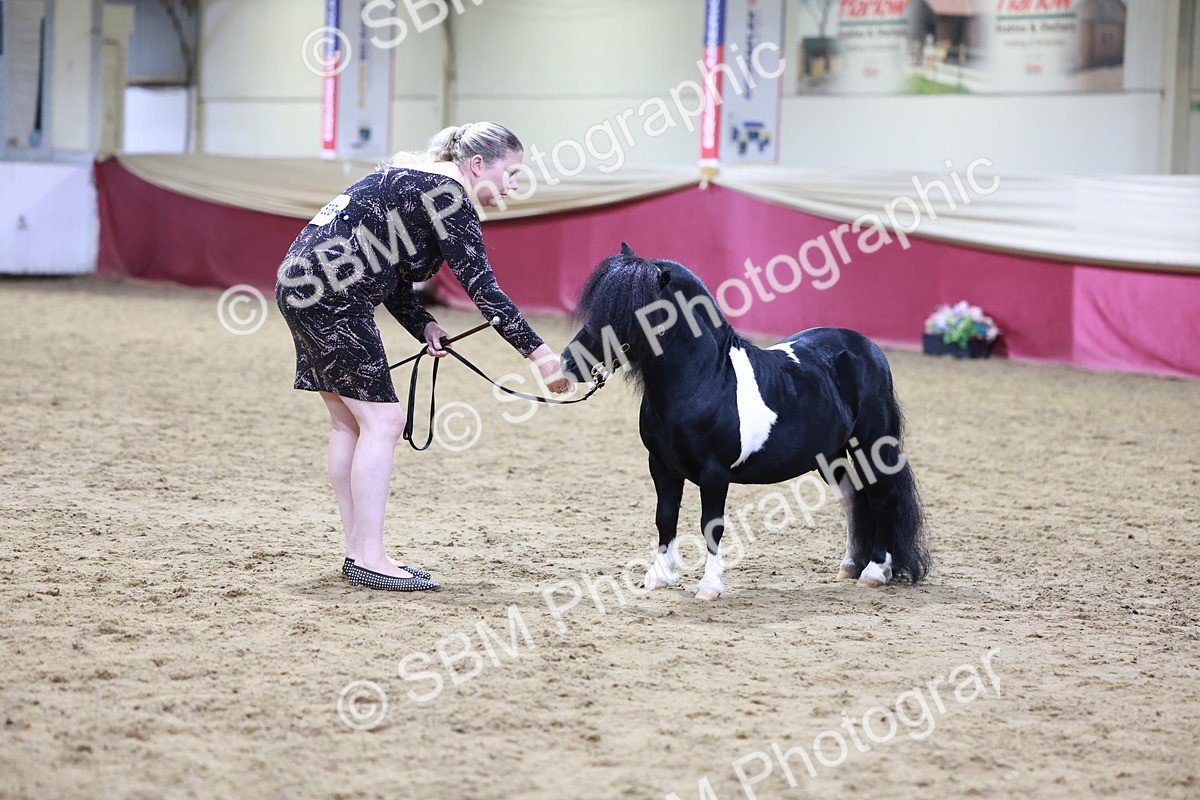 SBM_20836 - Class L - Coloured Champ
