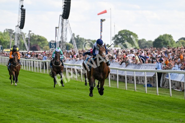 280625-Race 5-Turquino-0788 - Race 5 4.15pm Al Basti Equiworld Dubai Handicap