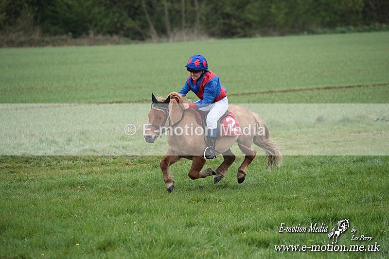 SHETPR 210425 101 - Shetland Ponies Paxford Races 21/04/25