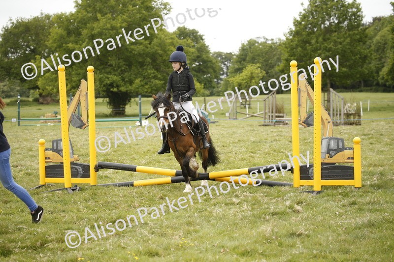 20250517-0950 - Class 2 - 30cm Off Lead Rein
