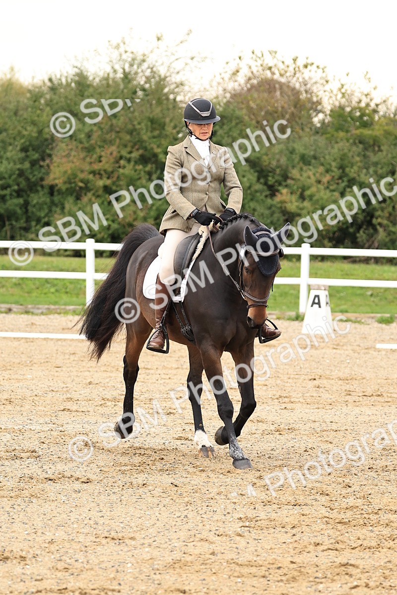 SBM_000217 - Prelim 2