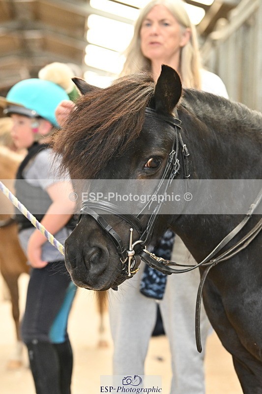 250821B-141658-00501 - Stable Shots and Group Photo