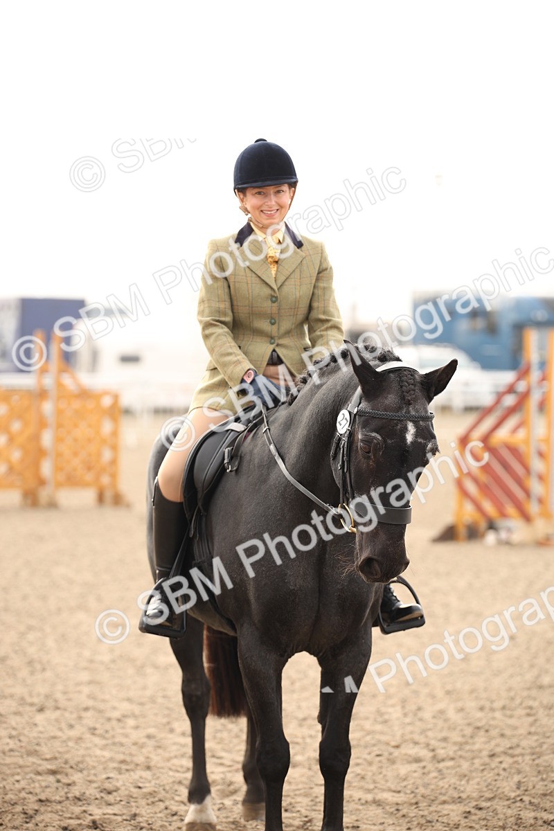 SBM_09767 - Class 401 Riding Club Pony