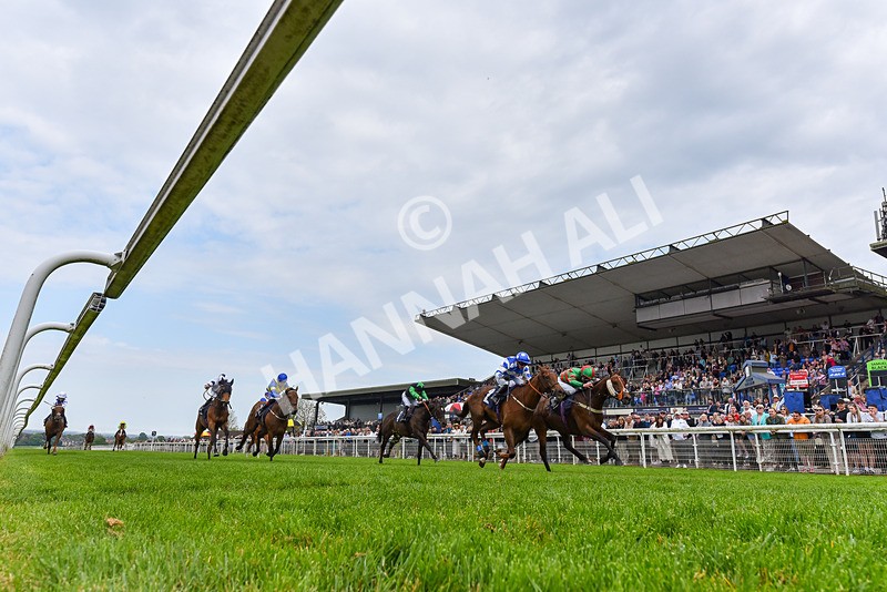 060524-Race 5-Original Thinker-4799 - Race 5