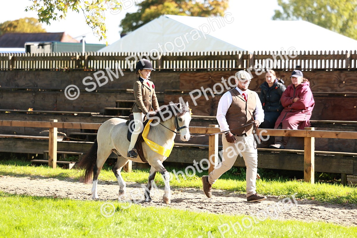SBM_37523 - Fun Showing Supreme Championship
