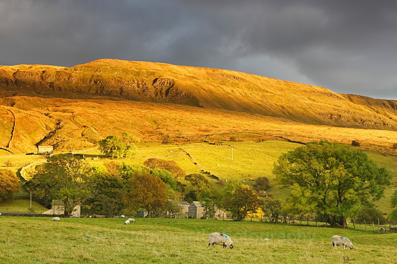 Golden light on Mallerstang      ref 4396 - The Pennines and Cumbria