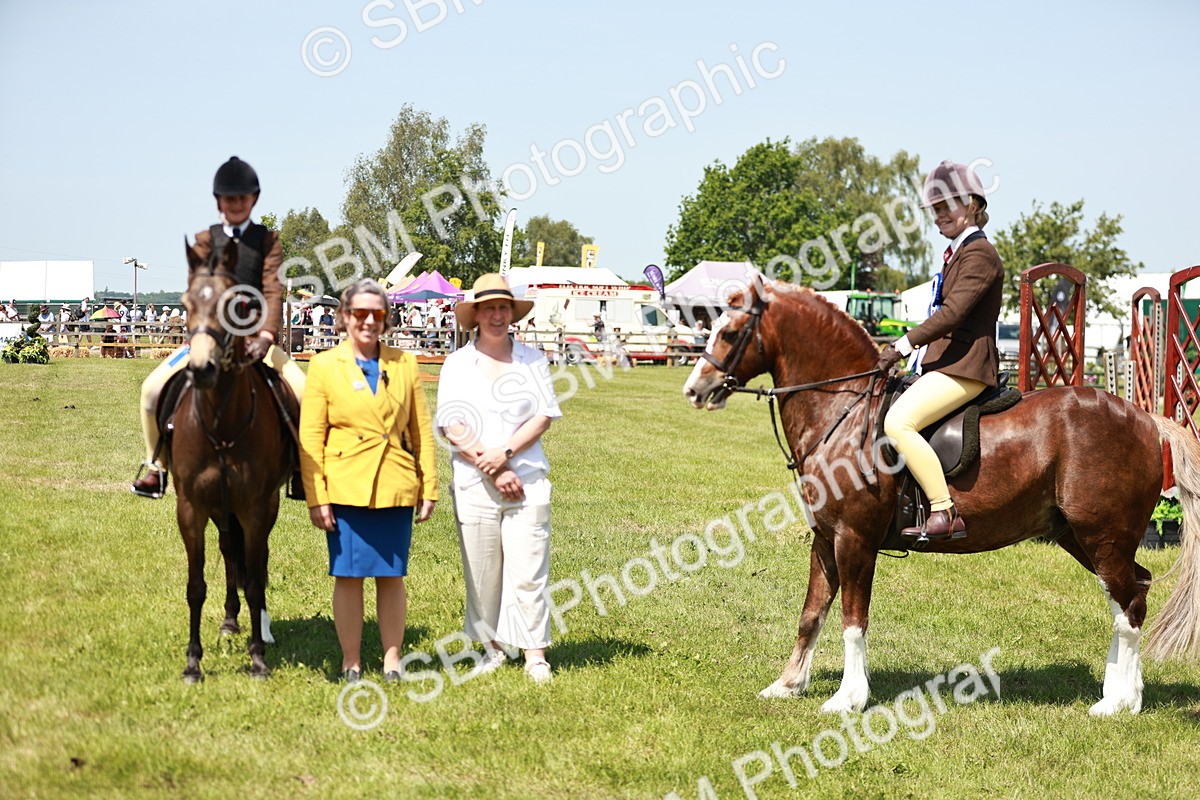 SBM_15816 - Class 108-109 - BSPS LIHS Open Gradle & Nursery Stakes