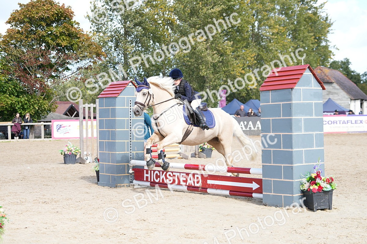 SBM_18145 - J58 - Clear Round 50cm