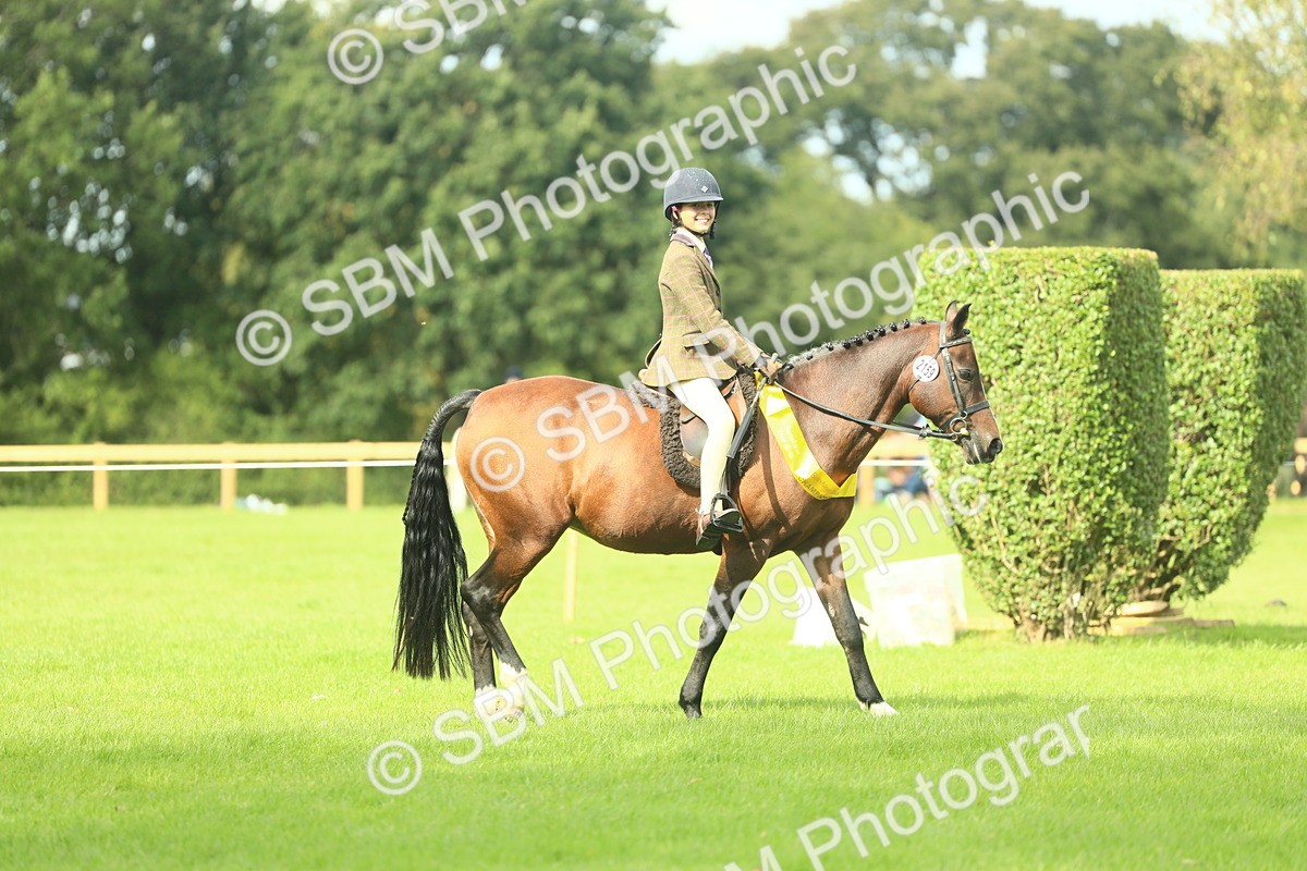 SBM_44876 - Working Hunter Pony Supreme Championship