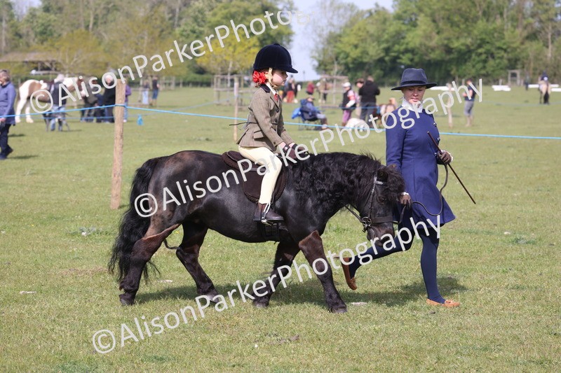 20260426-0596 - Class 31 - Leading Rein