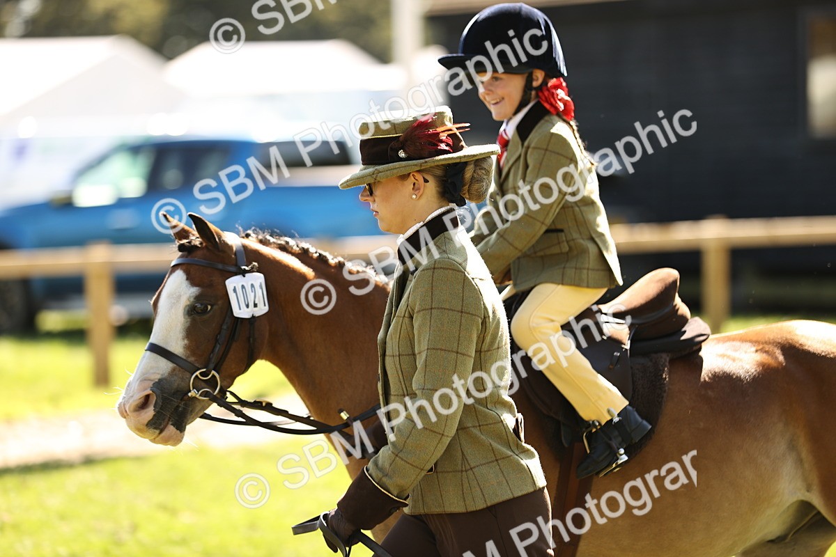 SBM_19291 - S3 - TSR Ridden Pony Showing