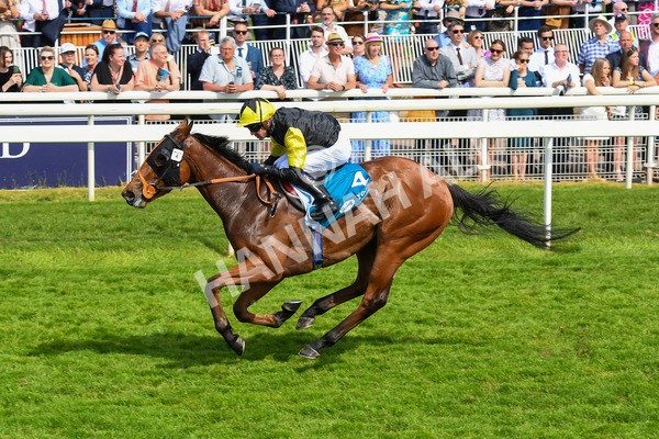 270523-Race 5-Starnberg-0784 - Race 5 3.50pm William Hill Extra Place Races Daily Handicap