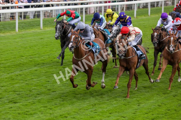 220824-Race 3-Thunder Run-7653 - Race 3 3.00pm Clipper Handicap