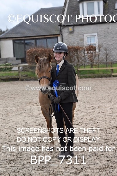 BPP_7311 - RING 1  (RIDDEN HORSES / IN HAND / VETERAN ETC)