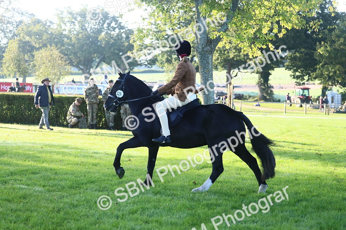 SBM_37338 - S29 - Novice & Newcomers Working Hunter Pony