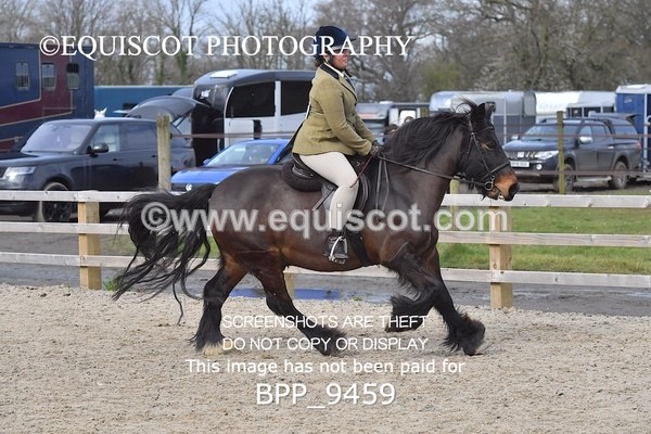 BPP_9459 - RING 2 - M&M