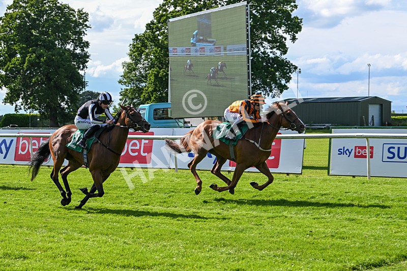 160624-Race 3-Mereside Diva-8534 - Race 3