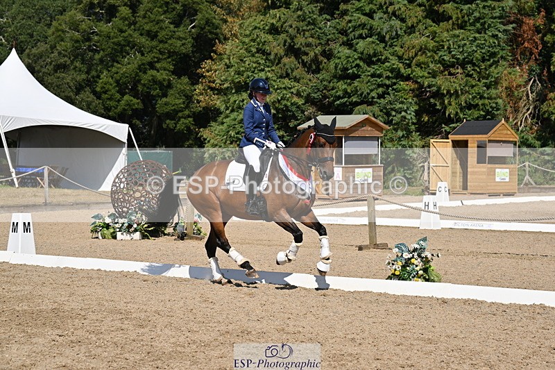 250810A-153328-08179 - Adv Medium SILVER Presentations