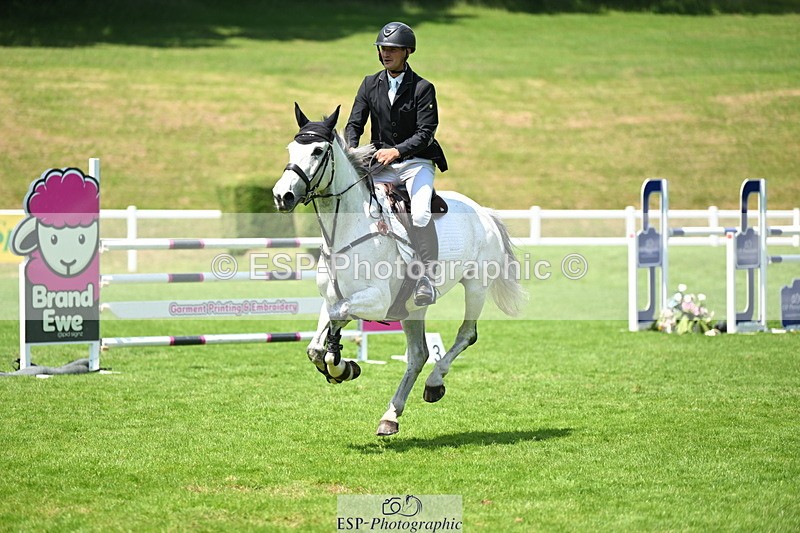 250614A-131308-06816 - Cls 20 Foxhunter