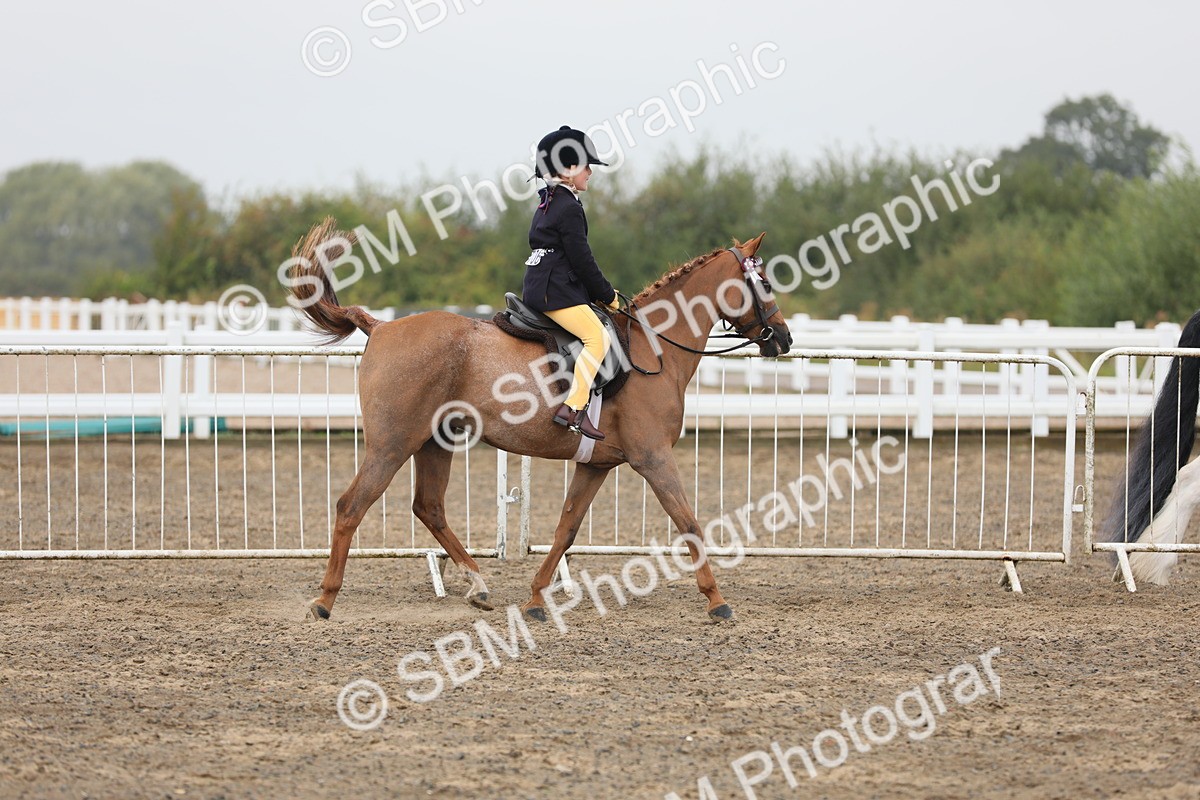 SBM_21719 - Class 806 - Young ridder 10 Yr & Under