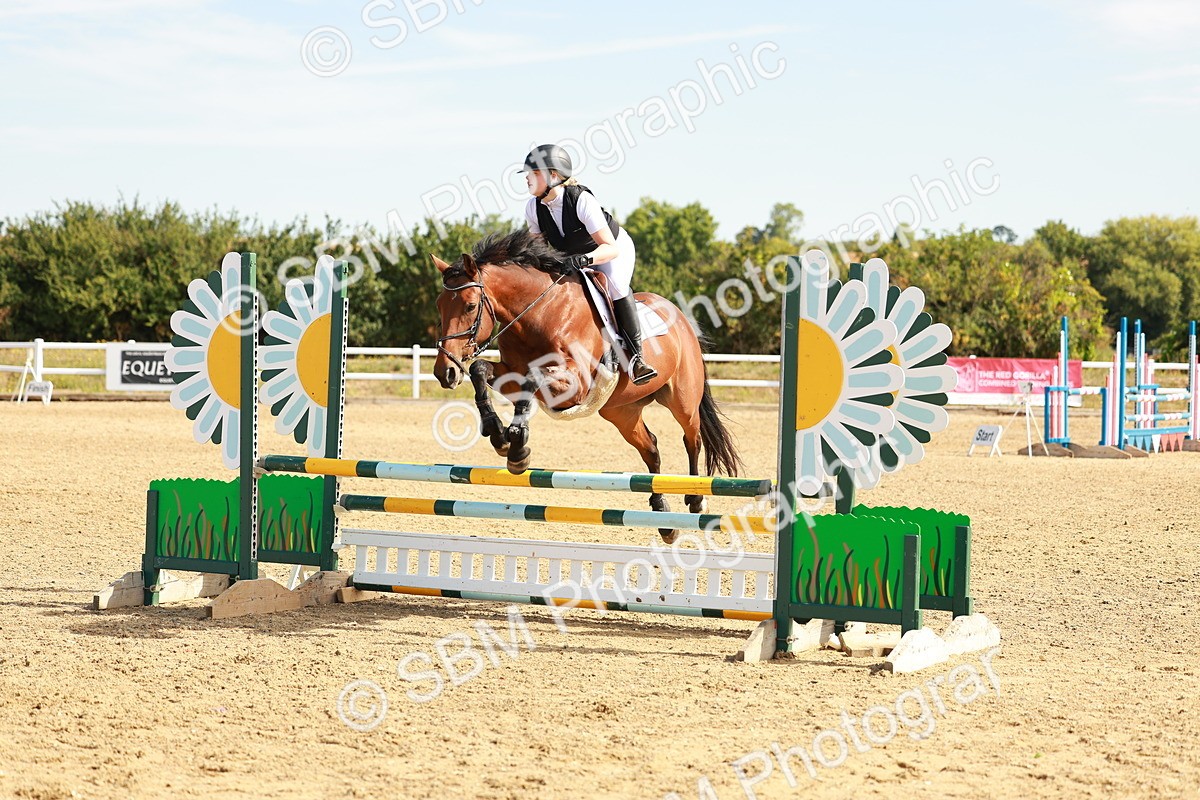 SBM_002532 - Class 9 - Senior British Novice - 90cm